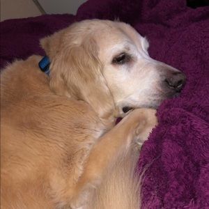 Meet your Posher, Madeline